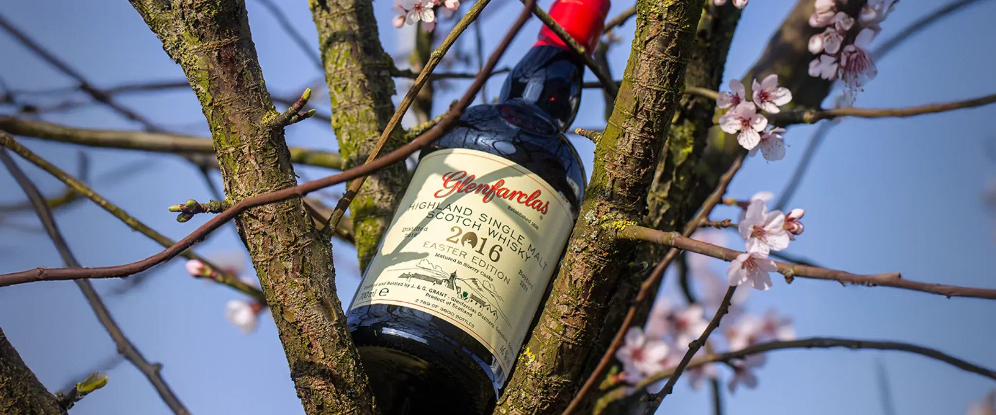 Glenfarclas Easter Edition 2026
