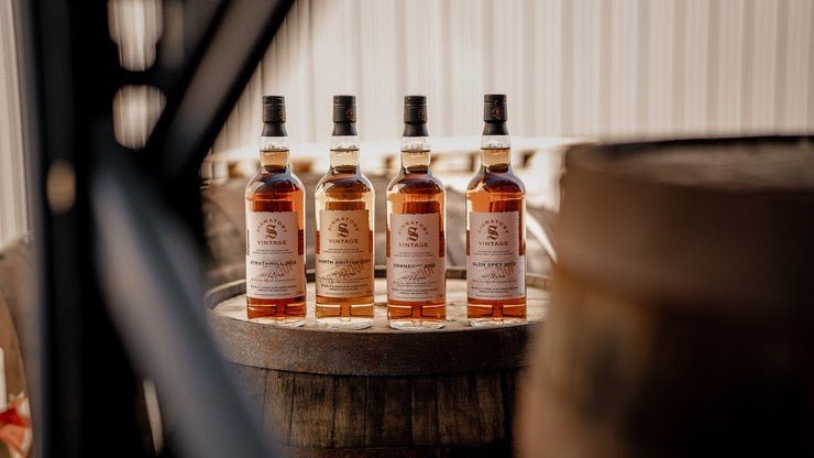 Signatory 100 Proof 2025 – North British, Strathmill, Glen Spey und Orkney