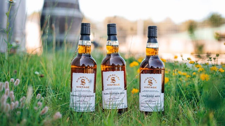 Signatory 100 Proof #18 bis #20 – Glentauchers, Linkwood und Glenrothes
